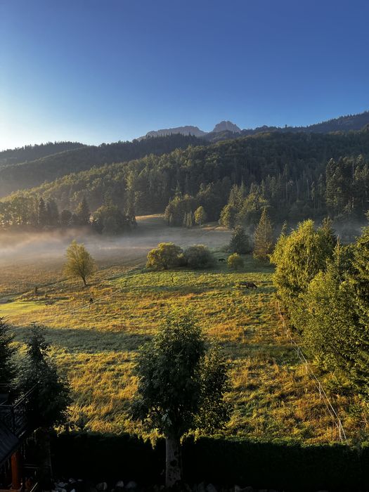 Willa Bachledówka pokoje/noclegi Zakopane