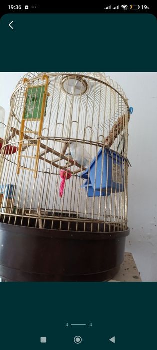 Клетка для попугая