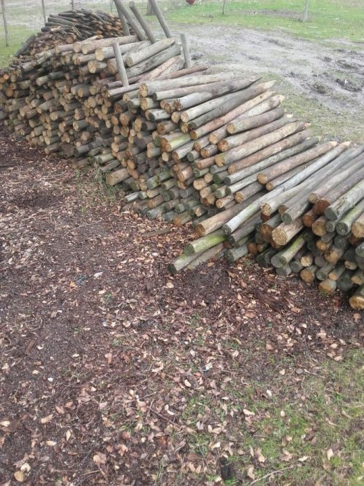 Paus usados para venda