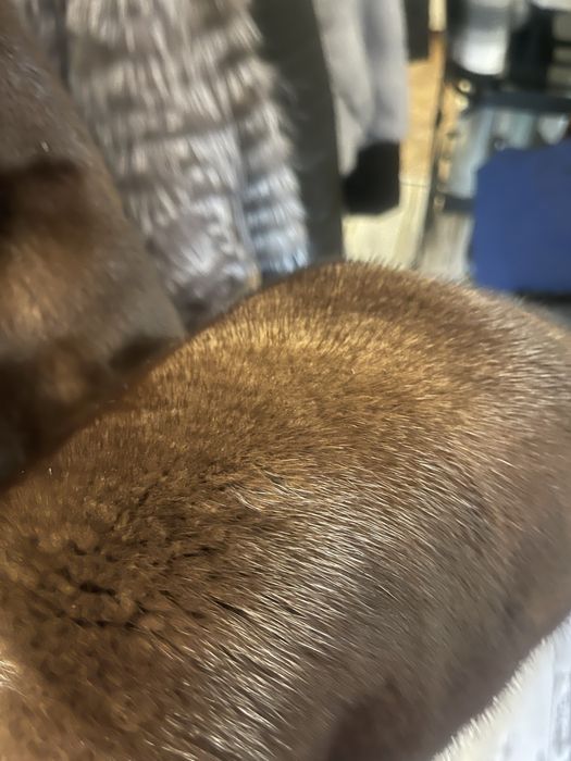 Шуба норкова . Дубаї