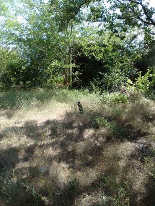 Продам  2-х поверхову дачу в СТ "Маяк", с. Себіно
