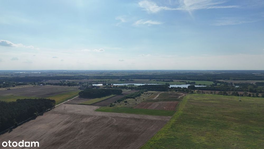 Działka budowlana w otulinie lasu, blisko zalewu, bezterminowe WZ. - Więcej