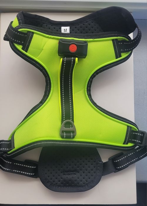 Шлейка, ошийник  для собак