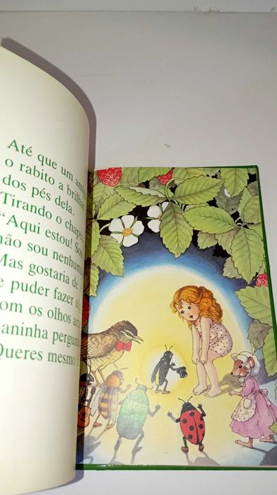 Joaninha e a estrela - Livro Verde (Rose Selarose)