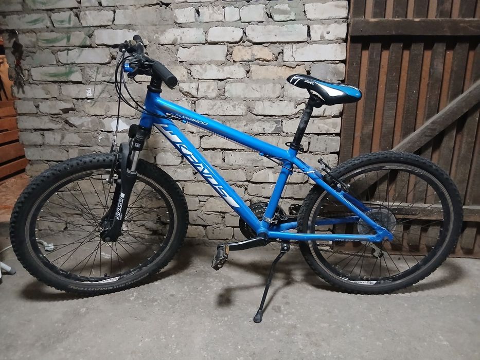 Rower Leopardo Kands