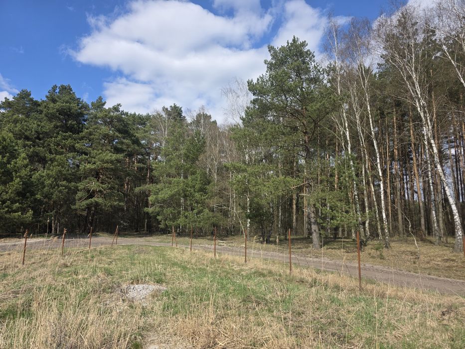 Dom parterowy przy lesie w  Zamościu - Widok 4