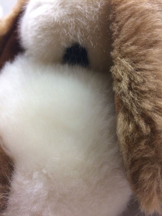 3 Cães de Peluche430497363751741444