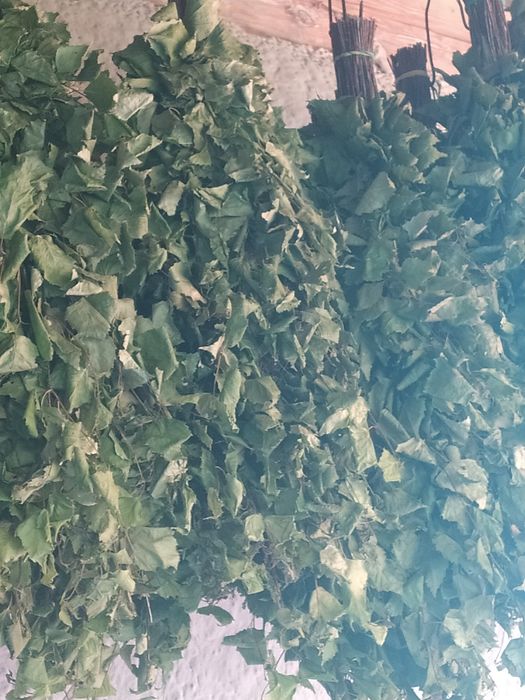 Віники для бані березові і дубові