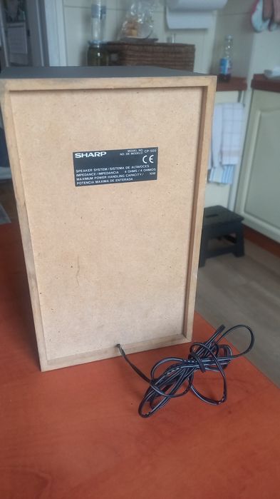 Głośniki firmy Sharp CP-505