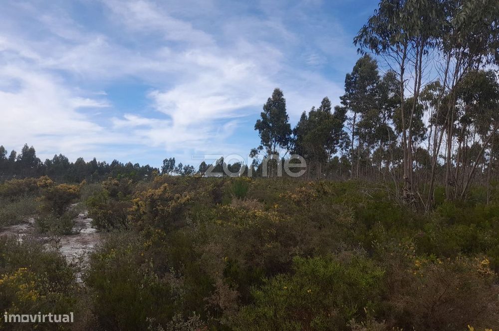 Terreno Rustico com 12580m2