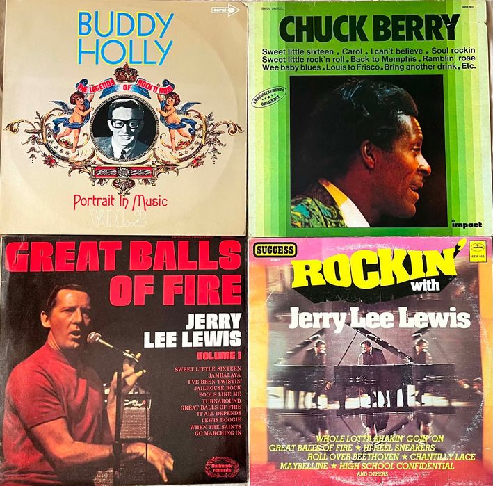 Платівки Elvis Presley Chuck Berry The Beatles Buddy Holly Bob Dylan The Beach Boys, etc