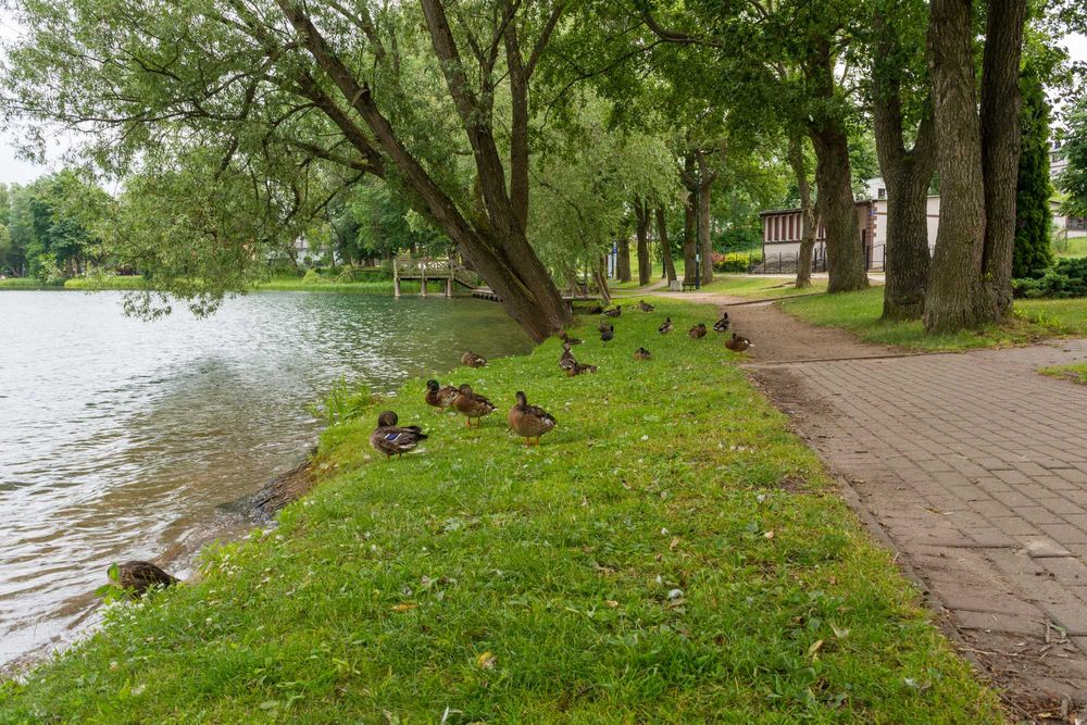 Dom  lub pokoje z łazienkami w Chmielnie