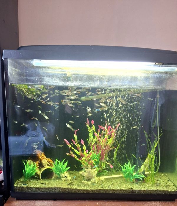 Акваріум 200л + фільтр