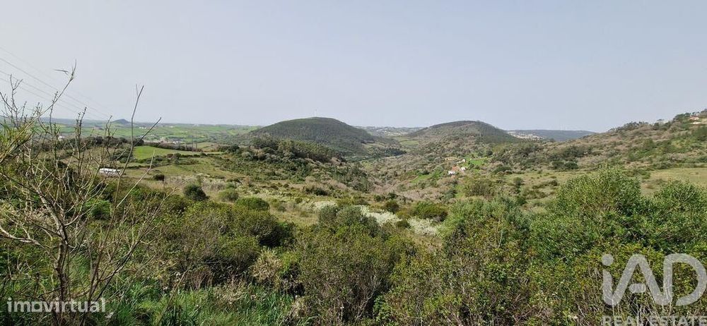 Terreno Agrícola em Mafra