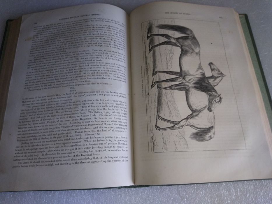 Raro e Antigo Livro cassell's popular natural history vol.2