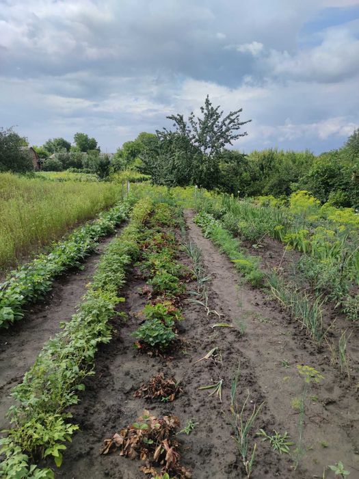 Продаж добротного будинку в с. Могилівка