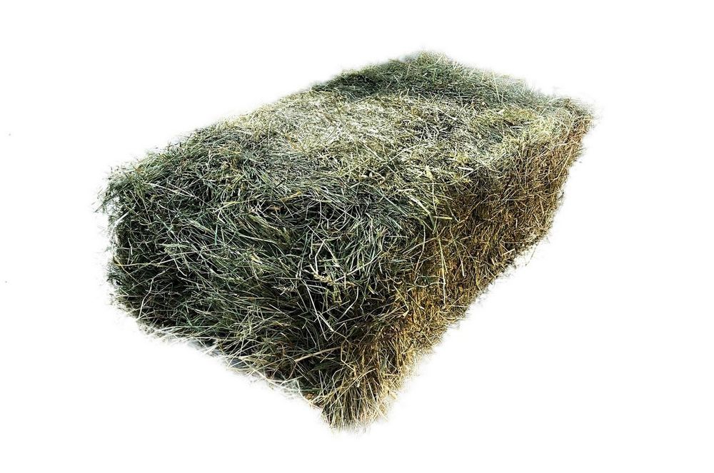 Продам сіно тьуках.