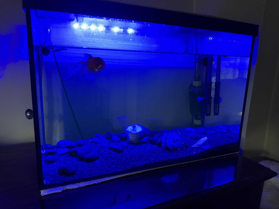 Akwarium AQUAEL Leddy 60 XL 72l Oświetlone