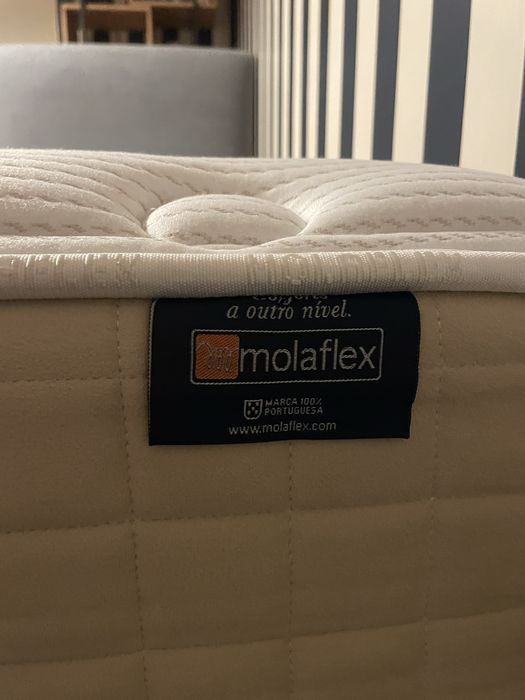 Colchão Molaflex + Cama + Estrado