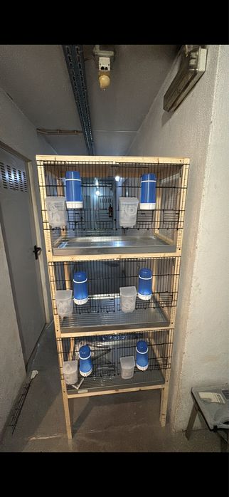 Modulo de 6 divisorias para criacao de exoticos