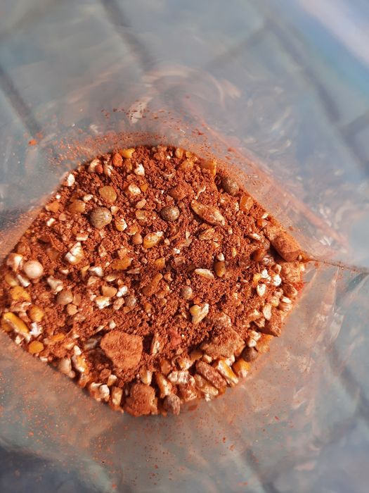 Zanęta sypka Karp Truskawka 1 kg