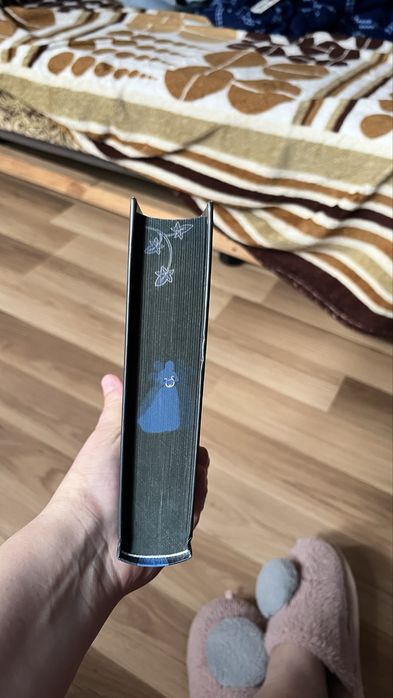 Пісня вічних дощів, 300 грн