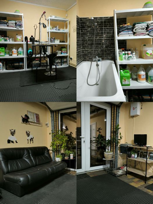 Грумінг собак і котів Бориспіль і район