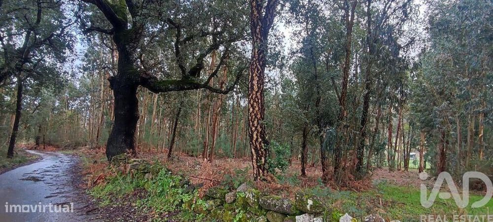 Terreno Agrícola em Bela