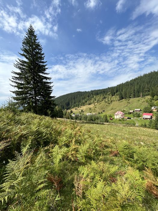 Продається 1.2 гектара з можливістю зміни цільового призначення