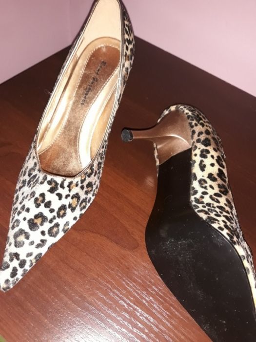 Czulenka panterka nowe