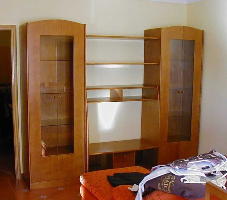 Movél TV, estante, loiças e livros.