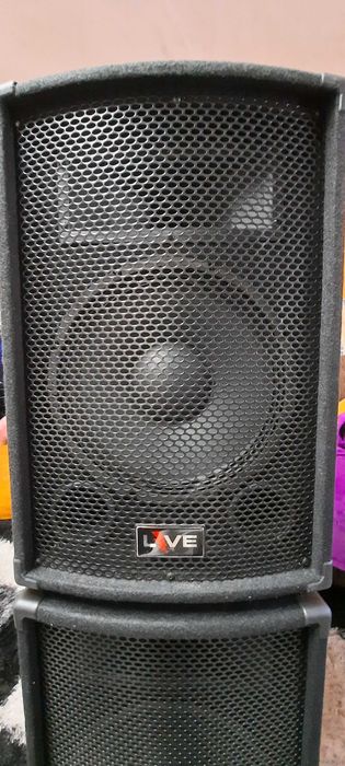 LIVE L12 - Coluna Passiva (300W/Peak) - NOVA Só 1 Unidade