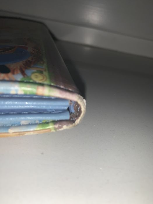 Portfel angry birds. Unikat