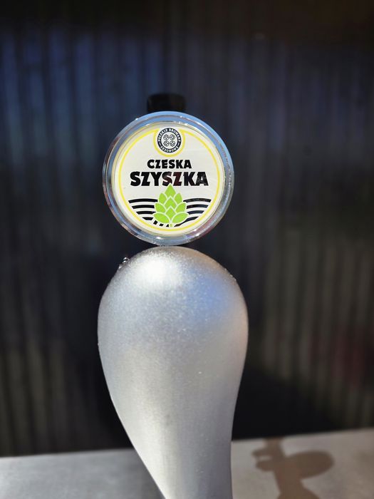 Wynajmę Rollbar/Nalewak do piwa/ Wina/ Proseco