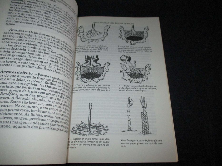 Livros As Rosas Adoram Os Alhos Louise Riotte