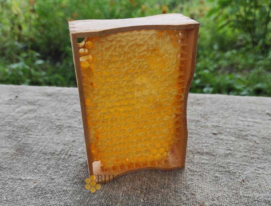 Мед в сотах / Сотовый мед / Стільниковий мед 2025