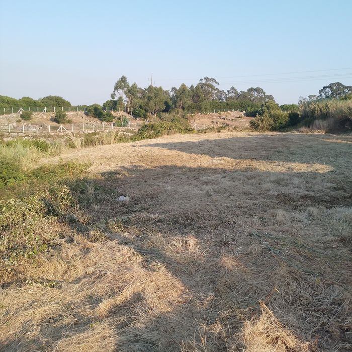 Prestação de serviços