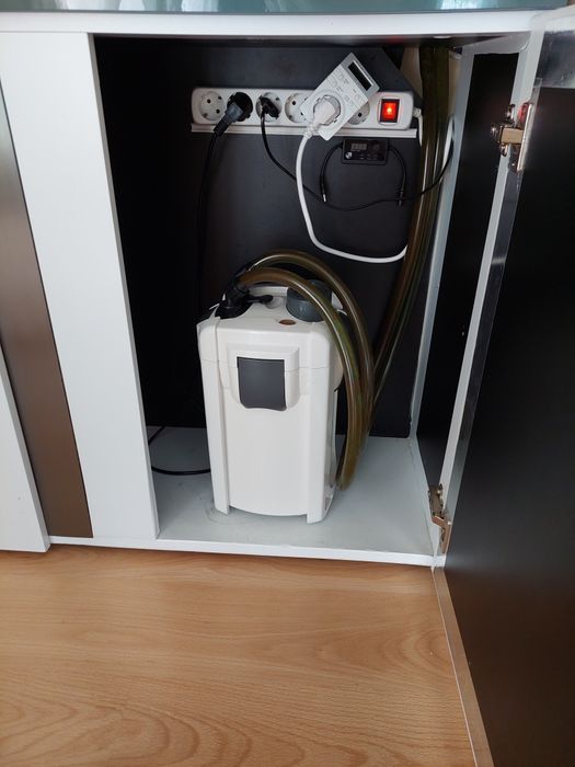 Aquário completo de ciclideos