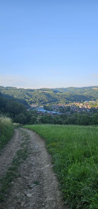 Wynajem domku pod lasem