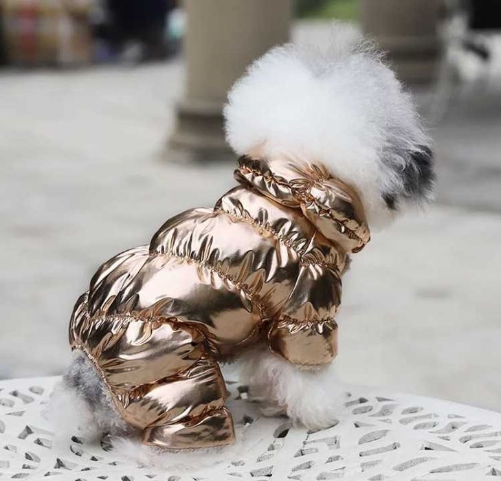 Зимний комбинезон для собак. Одежда для собак .