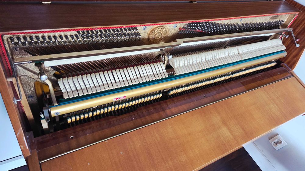 Pianino Calisia Nokturn