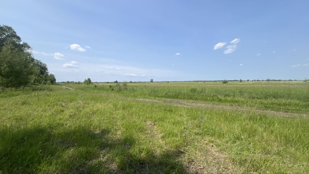 Продаж ділянки  від 10 га , 1-ша лінія до води с. Погреби