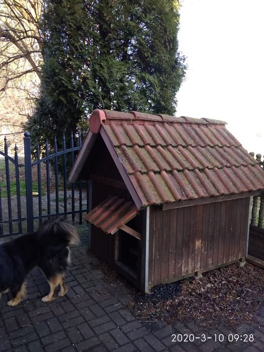 Buda dla psa DUŻA 185×200×180