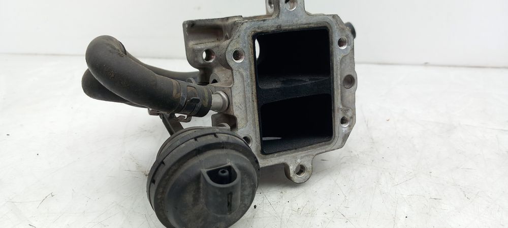 Válvula EGR SEAT Leon (1P1)