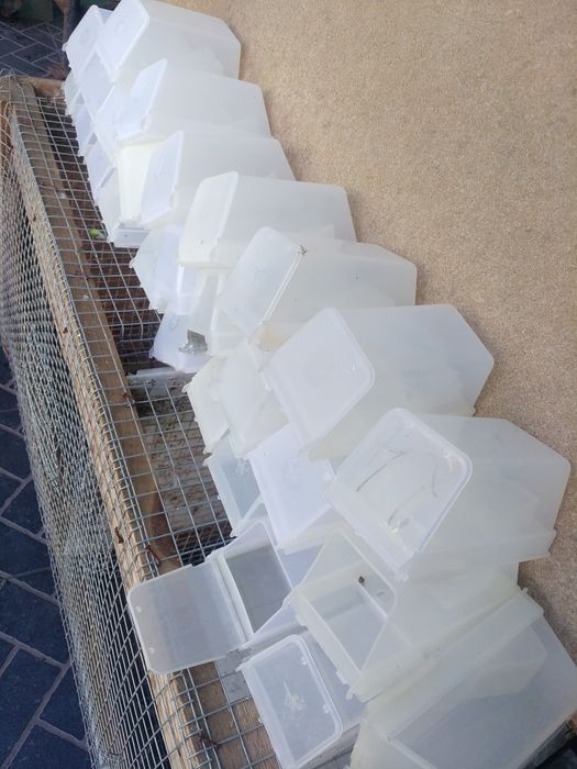 Viveiros pra criação