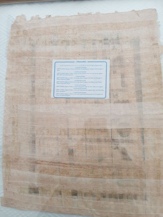 Quadro com papiro em moldura