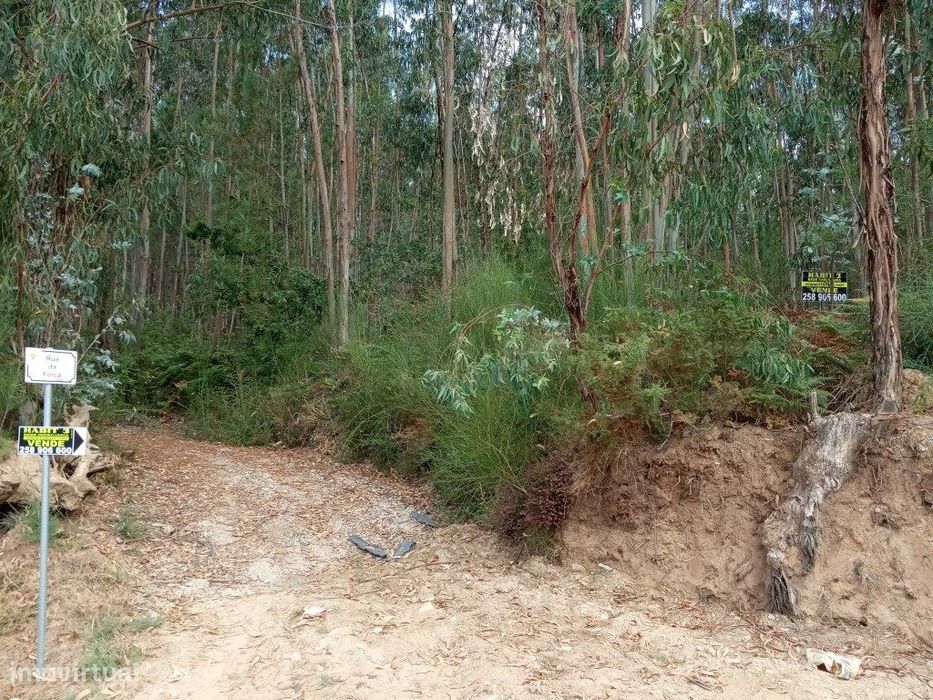 Terreno c/ 17.000m2 em Rebordões de Souto