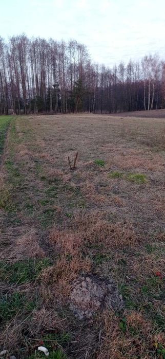 Działka rekreacyjna z możliwością zabudowy – 450 m od Jeziora Izdebno