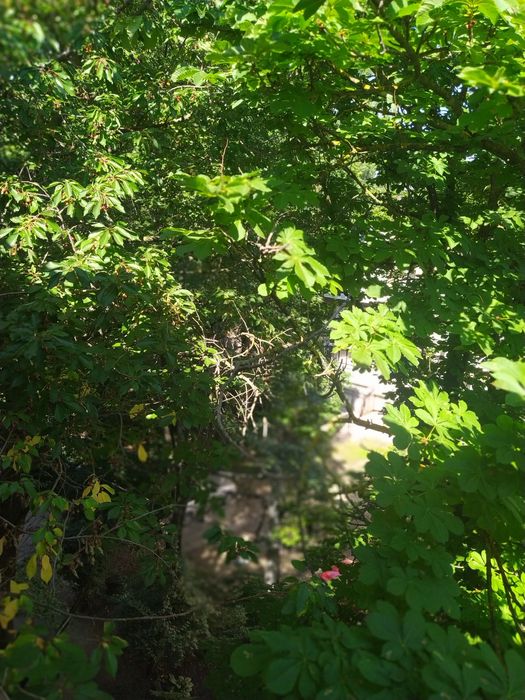 Свет есть!ПОСУТОЧНО, ПОЧАСОВО,Черемушки,Космонавтов, Героев Крут,парк