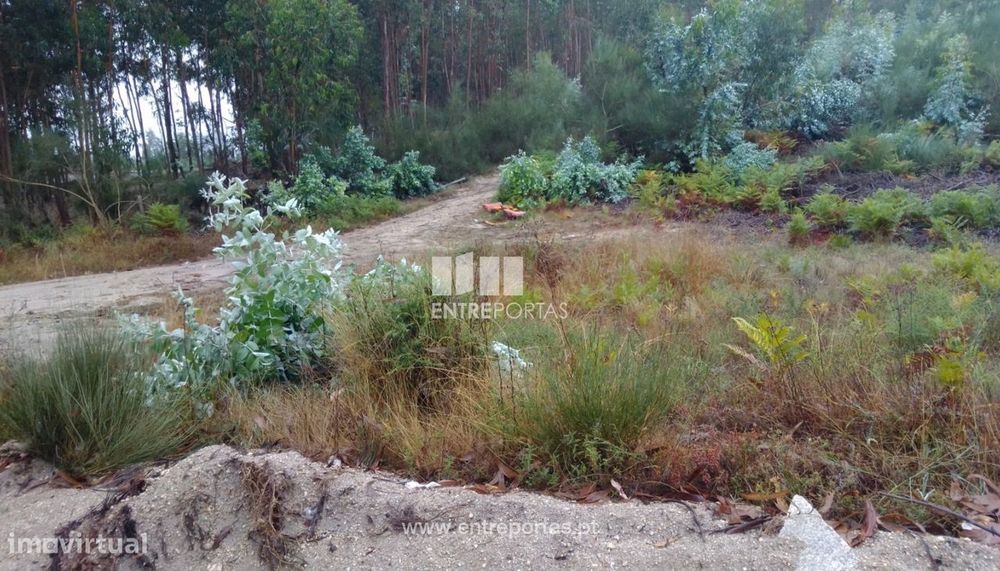 Venda Terreno com 3 hectares, Vila Boa de Quires, Marco de Canaveses — Vila Boa De Quires E Maureles, Porto